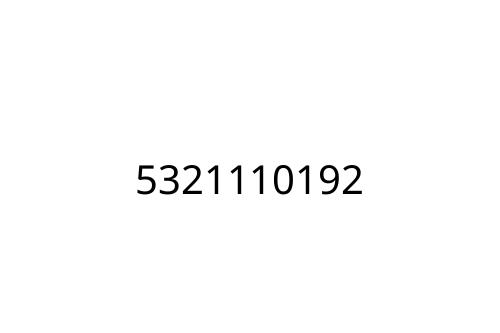 5321110192