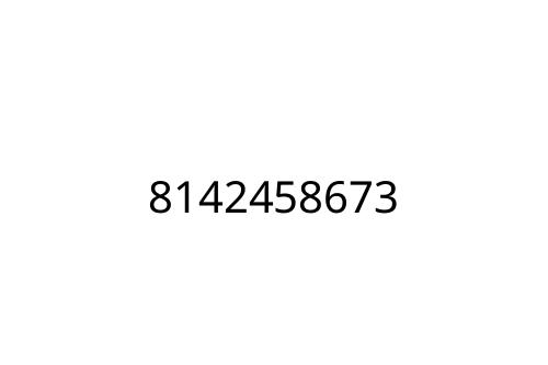 8142458673