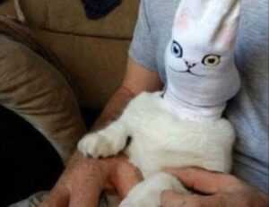 281005050101157lp0pmbxpr