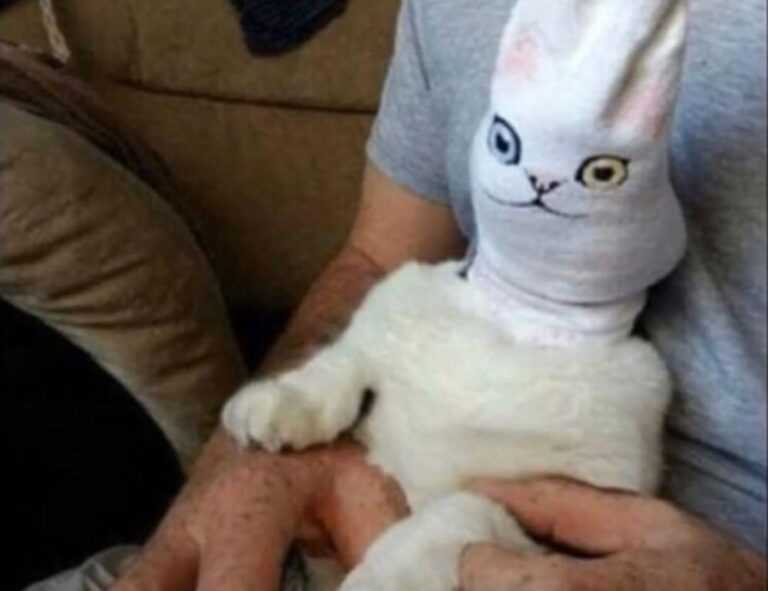 281005050101157lp0pmbxpr