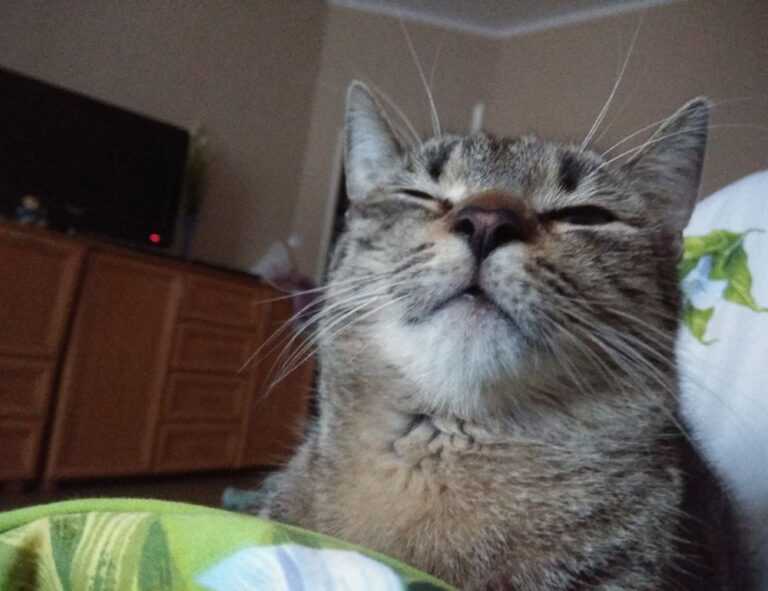 cardio vs weight training fntkgym