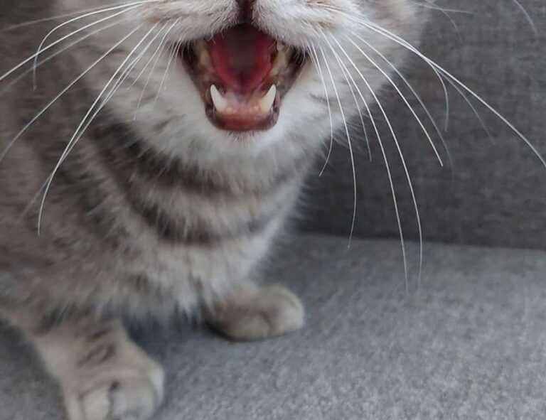 fntkgym gym tips by fitnesstalk