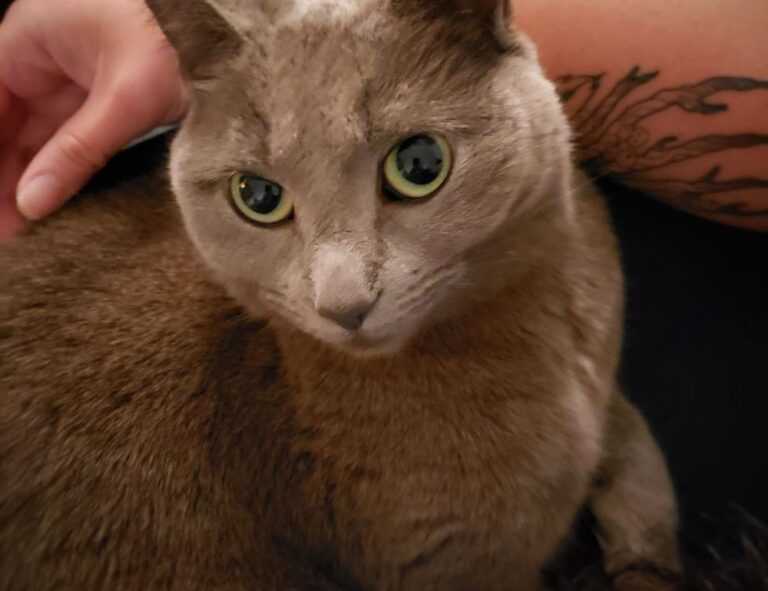 gymansium guide fntkgym