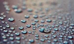 jerkofftomarathicelebs