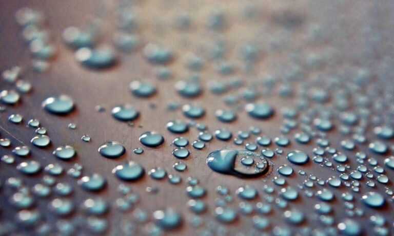 jerkofftomarathicelebs