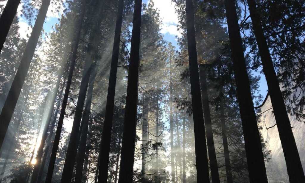 which pre workout should i buy fntkgym