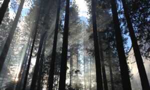 which pre workout should i buy fntkgym