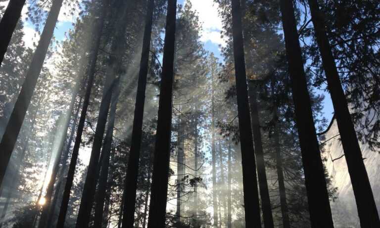 which pre workout should i buy fntkgym