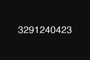 3291240423