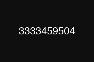 3333459504
