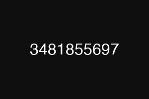 3481855697