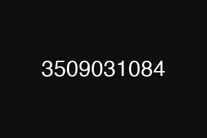 3509031084