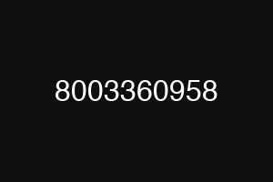 8003360958