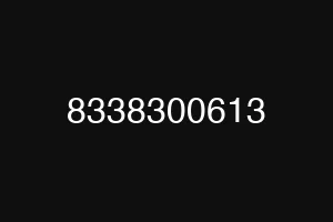 8338300613