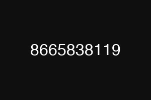 8665838119