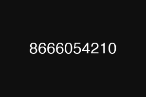 8666054210