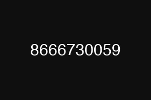 8666730059