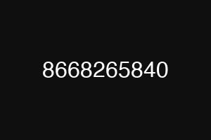 8668265840