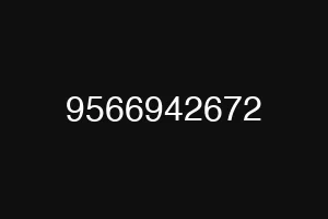 9566942672